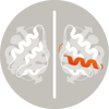 Biosimilars & Biobetters