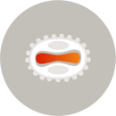 8_Poxvirus